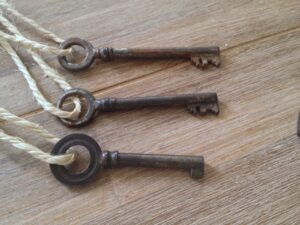 Old French Keys Set of 6: The French Antique Store