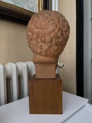 Terracotta Bust Roman Head Male 1920s French 2