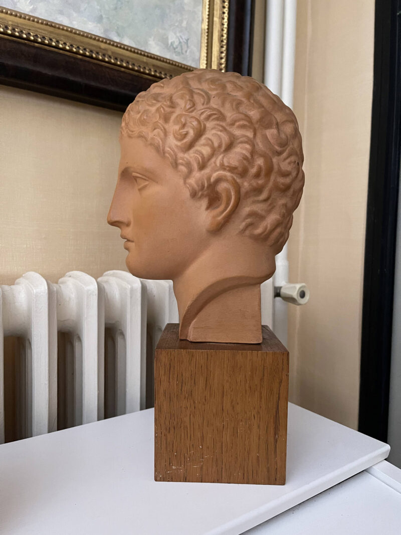 Terracotta Bust Roman Head Male 1920s French 3