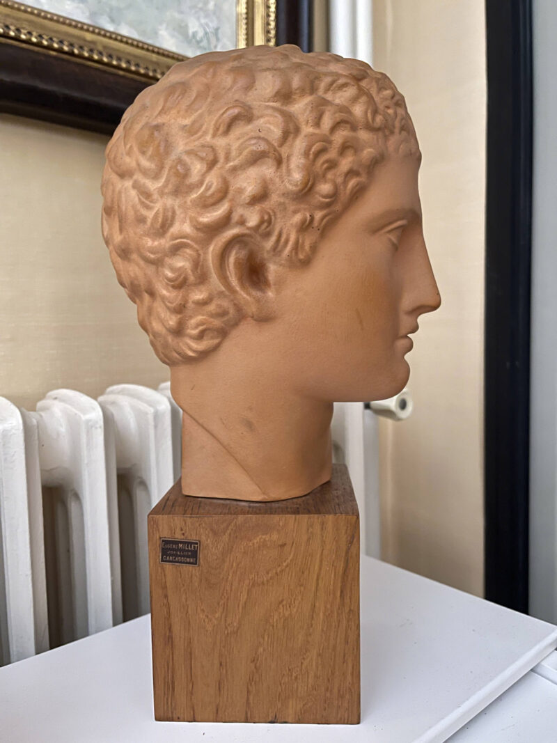 Terracotta Bust Roman Head Male 1920s French 6