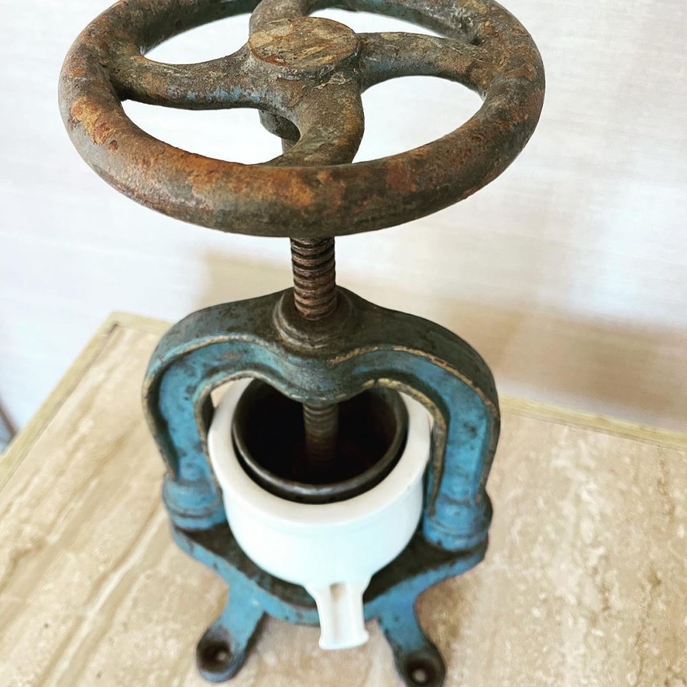 19th century duck press french antique 3