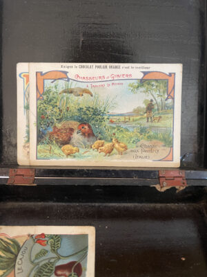 Chocolat Poulain Collectors Cards 11