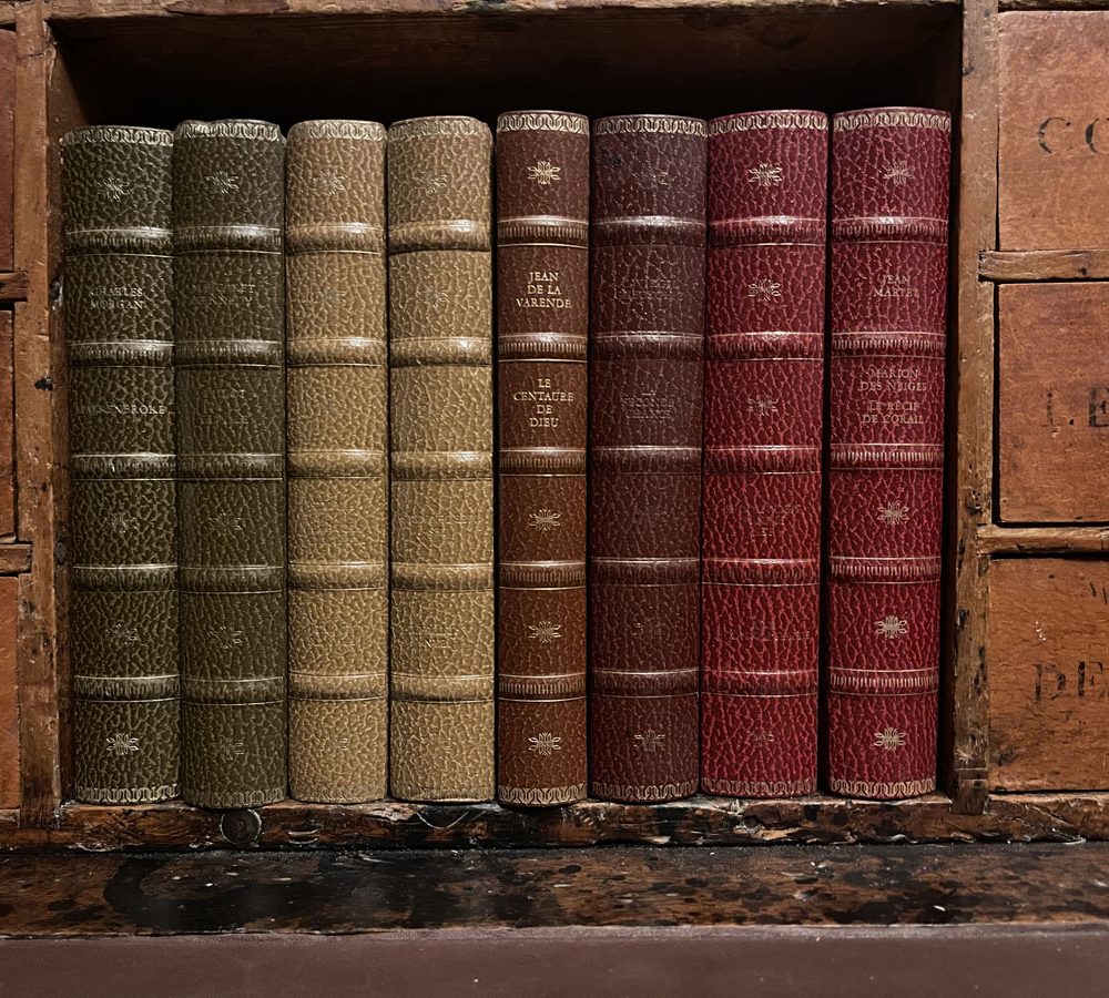 The French Antique Store Books Vintage French Collection 1