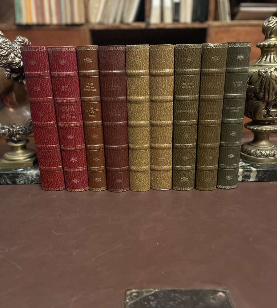 The French Antique Store Books Vintage French Collection 13