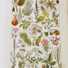 1924 Botanical Print French - Plantes Dangereuses II - The French Antique Store