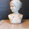 Distressed Classical Female Bust - The French Antique Store 4