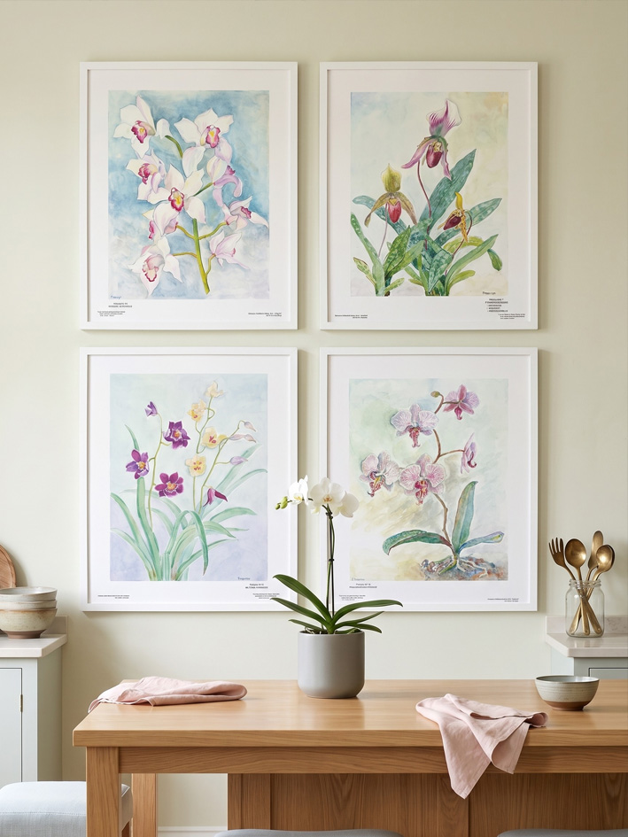 Set 4 Vintage French Botanical Prints - Orchid Watercolor Art Plate by François Lemoine (1990)