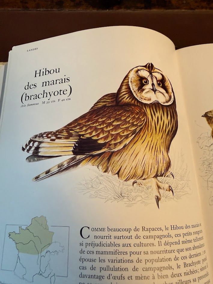 Vintage 1971 Guide des Oiseaux (First Edition) - Sélection du Reader's Digest Hardcover IMG_1793