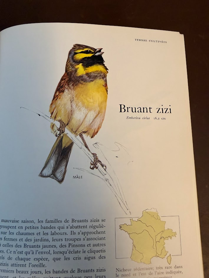 Vintage 1971 Guide des Oiseaux (First Edition) - Sélection du Reader's Digest Hardcover IMG_1794