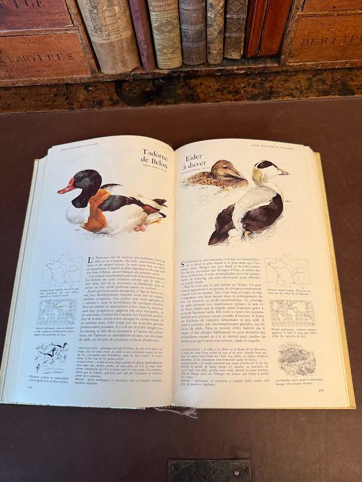 Vintage 1971 Guide des Oiseaux (First Edition) - Sélection du Reader's Digest Hardcover IMG_1795
