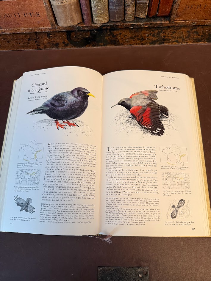 Vintage 1971 Guide des Oiseaux (First Edition) - Sélection du Reader's Digest Hardcover IMG_1796