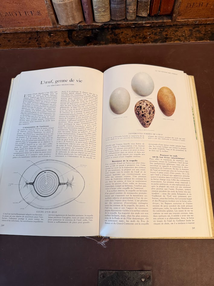 Vintage 1971 Guide des Oiseaux (First Edition) - Sélection du Reader's Digest Hardcover IMG_1797
