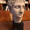 Architectural Faux-Stone Bust of the 'Hermes Richelieu' on Noir Marble Plinth IMG_2102