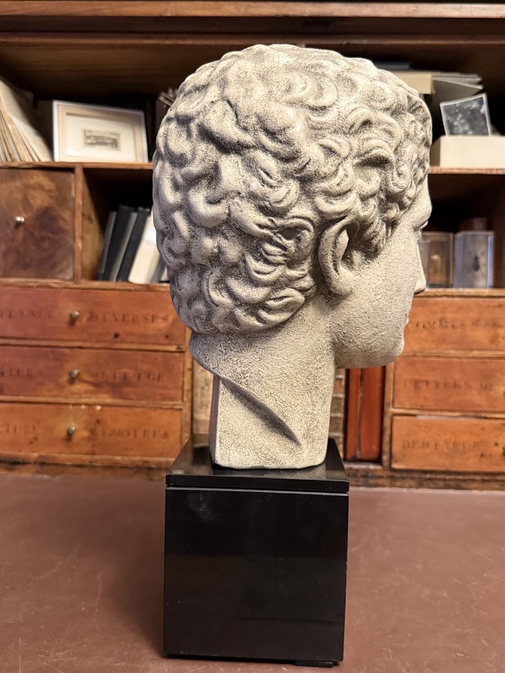 Architectural Faux-Stone Bust of the 'Hermes Richelieu' on Noir Marble Plinth IMG_2105