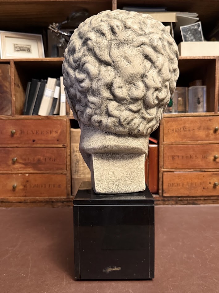 Architectural Faux-Stone Bust of the 'Hermes Richelieu' on Noir Marble Plinth IMG_2106