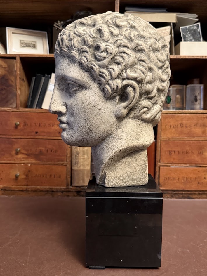 Architectural Faux-Stone Bust of the 'Hermes Richelieu' on Noir Marble Plinth IMG_2107