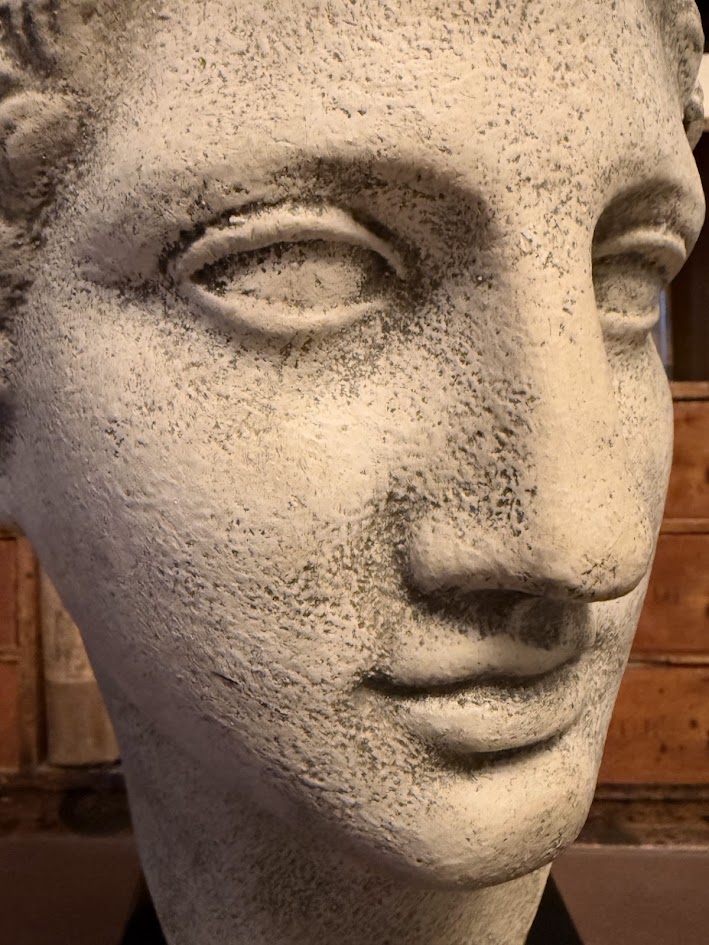 Architectural Faux-Stone Bust of the 'Hermes Richelieu' on Noir Marble Plinth IMG_2109