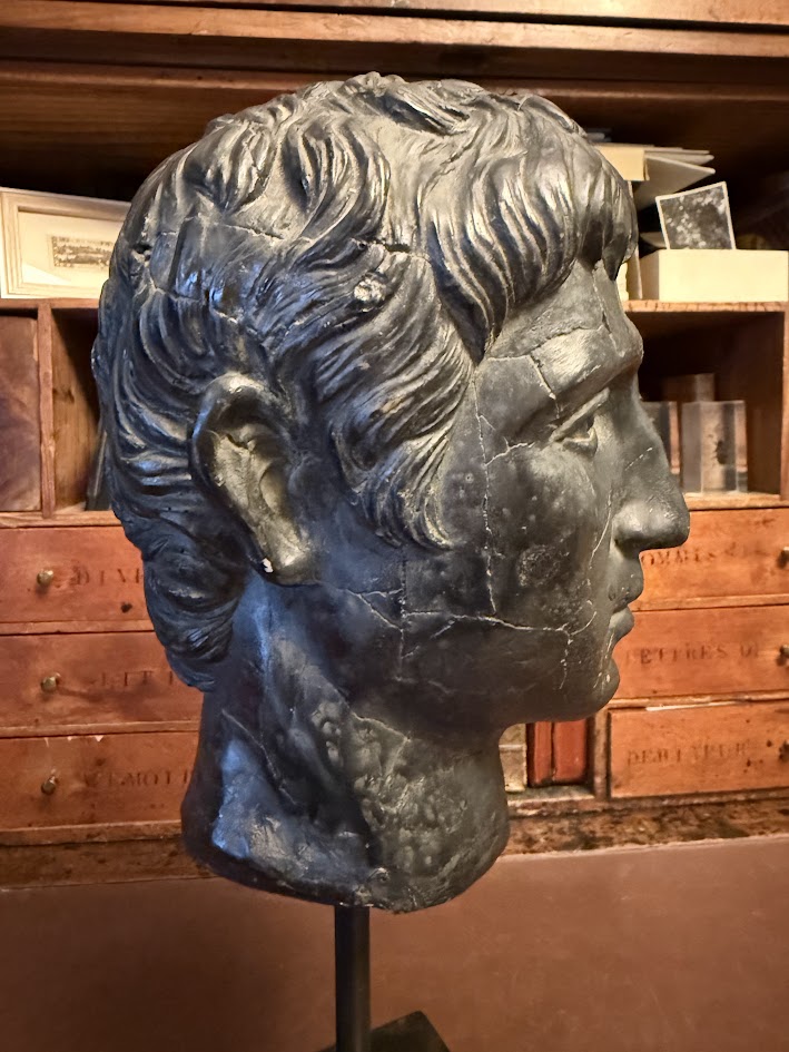 Large Patinated Plaster Bust of Roman Emperor Augustus Grand Tour Neoclassical Head on Stand (40cm) IMG_2092