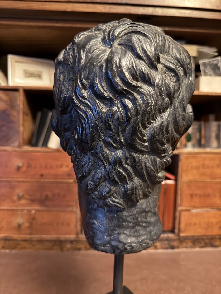 Large Patinated Plaster Bust of Roman Emperor Augustus Grand Tour Neoclassical Head on Stand (40cm) IMG_2093